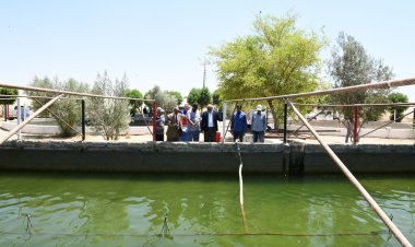 محافظ قنا يتفقد مشروعات الأمن الغذائي بالمعنا