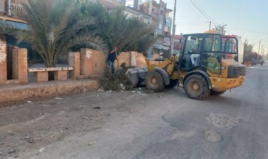 محافظ كفر الشيخ : حملات نظافة مستمرة لاستقبال عيد الأضحى المبارك