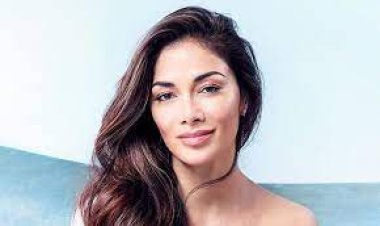 الفنانة العالمية نيكول شيرزينجر تعلن خطبتها