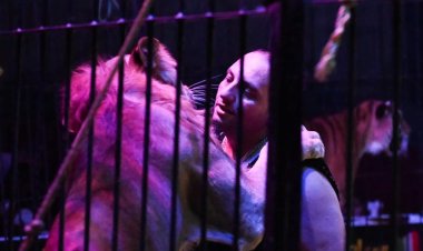 منها الثعابين.. محمد الحلو لـ«العاصمة»: نطور في فقراتنا باستمرار وعروض خاصة لـ العيد