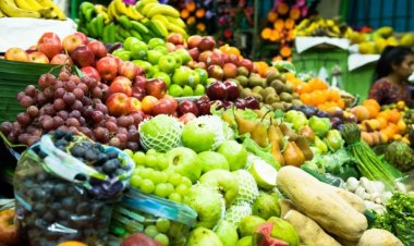 الموالح في المقدمة.. صادرات مصر الزراعية بموسم 2022-2023