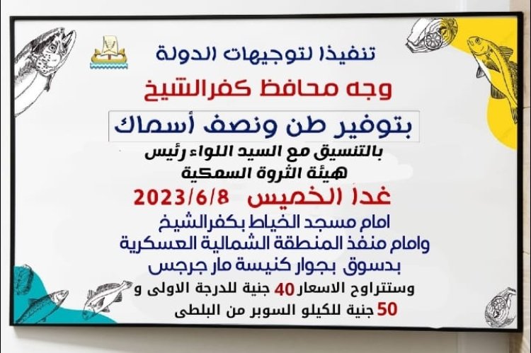 محافظ كفر الشيخ: «طرح طن ونصف أسماك بسعر 40 و50 جنيه للكيلو»