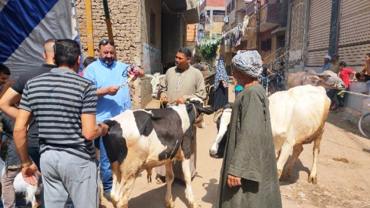 تنظيم قافلة طبية بيطرية شاملة بالمجان بقرية العجمى في الشرقية