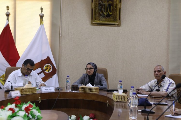 "الوادي الجديد" تتابع سير امتحانات الثانوية وإجراءات الطوارئ خلال الصيف