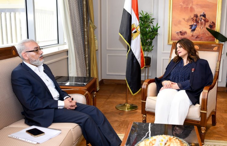 السفيرة سها جندي تتابع مع خبير مصري بالخارج تنفيذ المدينة الطبية العالمية