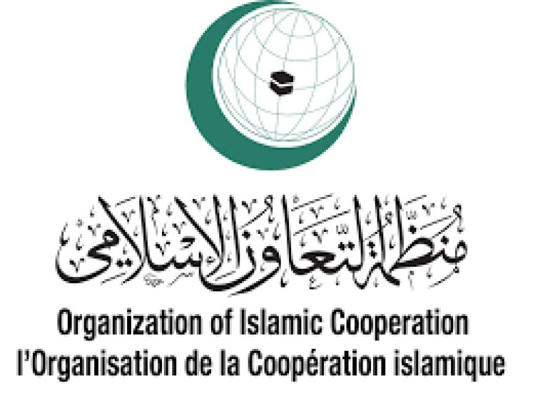 الأمين العام لمنظمة التعاون الإسلامي يستقبل القنصل العام لجمهورية نيجيريا الاتحادية في جدة