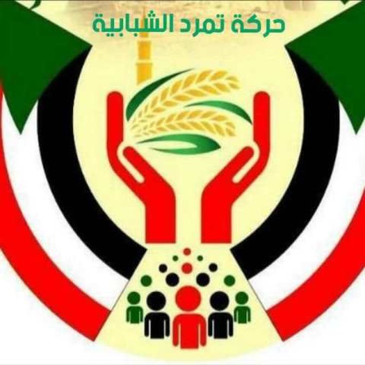 ثورة 30 يونيو.. ما الإطار القانوني الذي قامت عليه «حركة تمرد»؟