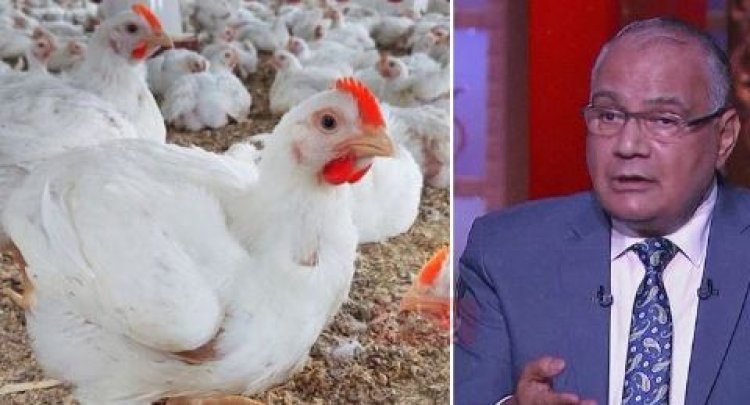 مع غلاء الأسعار.. أزهري: «ممكن تضحي بفرخة»