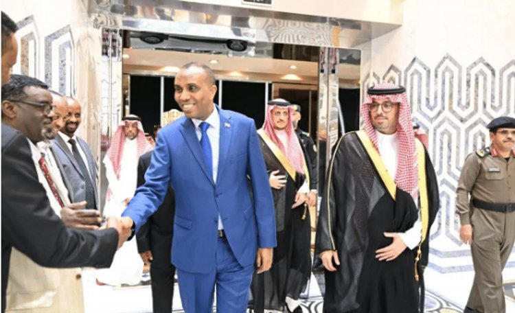 رئيس الوزراء الصومالي يصل إلى المدينة المنورة