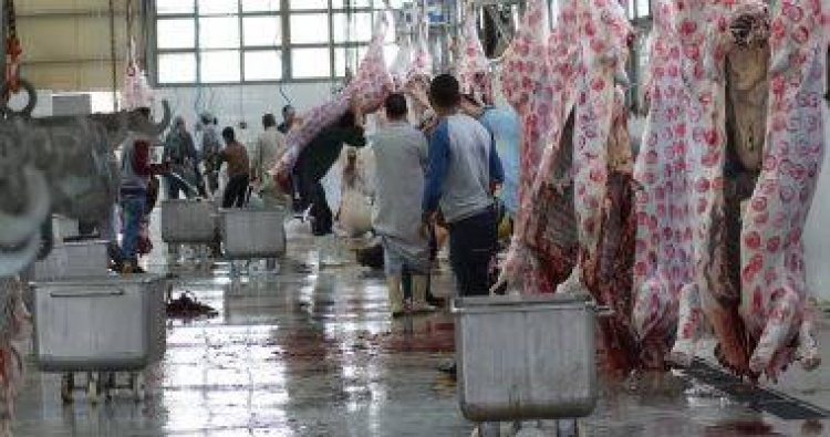 عيد الأضحى 2023.. فتح 21 مجزرًا بالمجان في الجيزة