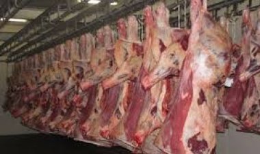 «الإفتاء تجيب».. هل يجوز توزيع لحوم الأضاحي بعد العيد وأيام التشريق ؟