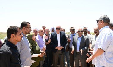 محافظ قنا يتفقد موقع انهيار أحد أحواض الغابة الشجرية بالصالحية