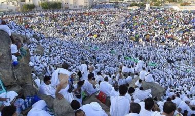 القبض على «مستريحة تأشيرات الحج» بمنطقة الساحل 
