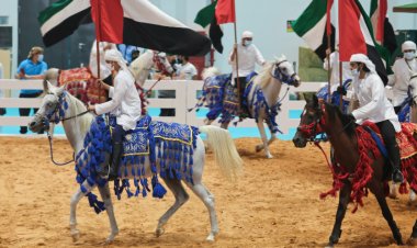 2 سبتمبر موعد انطلاق معرض أبوظبي الدولي للصيد والفروسية