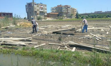 محافظ كفر الشيخ يعلن  إزالة فورية لـ 50 حالة تعدي على أراضى زراعية