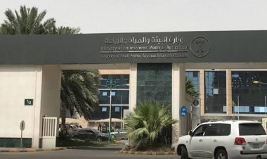 «البيئة» تعلن قرب انتهاء مهلة إخراج المواشي والإبل المملوكة لغير السعوديين