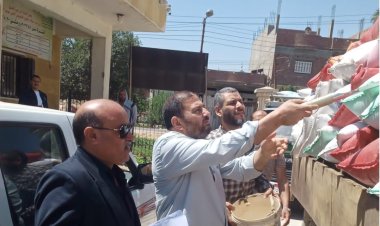 محافظ كفر الشيخ: توريد 260 ألف و30 طن قمح بـ 22 شونة ومركز تجميع