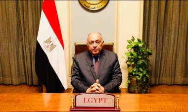 وزيرا خارجية مصر وصريبا يفتتحان أعمال ندوة أكاديمية بمناسبة مرور ١١٥ عاماً على إقامة العلاقات الدبلوماسية