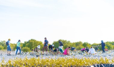 «البصمة البيئية في الإمارات».. مبادرة تدعم تحقيق استراتيجية الحياد المناخي