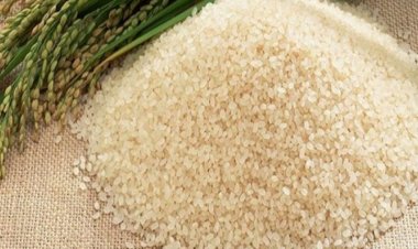 296.6 كيلوجرام.. ارتفاع نصيب الفرد من الحبوب في مصر