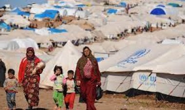 وزير المهجرين اللبناني: اللقاء مع الرئيس السوري عبر وزارة الخارجية