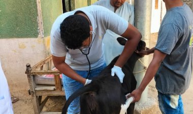 بيطرى قنا يناظر 302 حيوان وطائر خلال قافلة بيطرية مجانية بقرية المراشدة