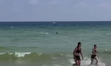 رعب على شواطئ فلوريدا بأمريكا بعد هجوم سمكة قرش على المصطافين