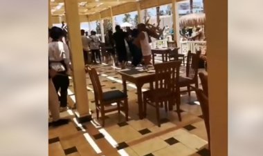 «لا صحة لتقديم لحوم حمير».. محافظة البحر الأحمر توضح سبب مشاجرة أحد فنادق الغردقة
