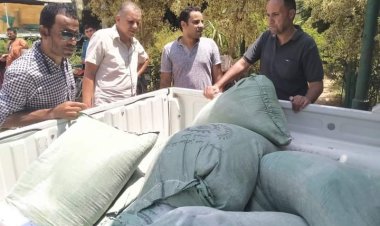 ضبط 8 أجولة دقيق بلدي مدعم خلال حملة بالبداري في أسيوط