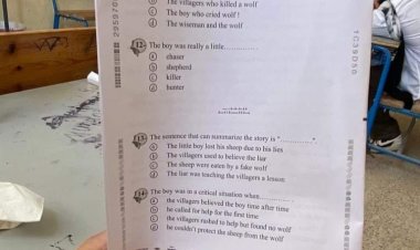 «نسيّت تخبى الكود».. القبض على طالبة سربت امتحان اللغة الإنجليزية من داخل اللجنة