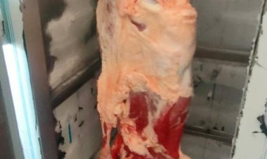 ضبط طن و300 كجم مقطعات لحوم ودواجن وكفتة غير صالحة للإستهلاك الأدمي بمطاعم بشارع فيصل بالعمرانية وأكتوبر