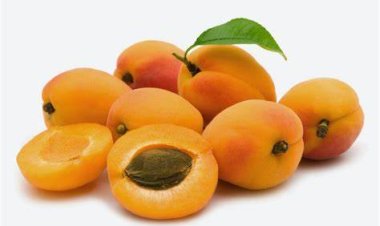 استشاري تغذية يكشف فوائد المشمش الصحية.. أبرزها الحماية من الجلطات