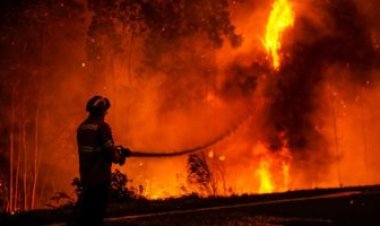روسيا: تسجيل نحو 102 حريق فى غابات مقاطعة ماجادان خلال يوم واحد