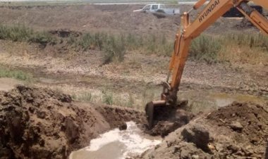 محافظ بورسعيد: تنفيذ 4 حالات إزالة لمزارع سمكية مخالفة بجنوب بورسعيد