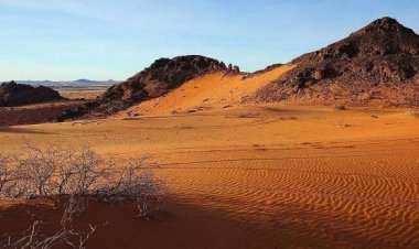 «1763» عالقاً بالصحاري السعودية و4 وفيات خلال شهر