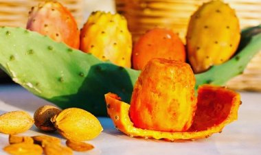 استشاري التغذية: علينا الحذر من تناول التين الشوكي بكثرة لما به من أضرار