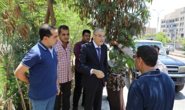 محافظ المنيا يوجه باستكمال أعمال تطوير الطريق لتحسين البنية التحتية بالمحافظة