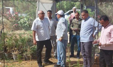 محافظ الوادي الجديد يتفقّد عددًا من المشروعات الزراعية في جولة مفاجئة