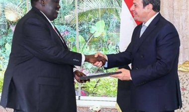 مصر تستضيف غدًا الخميس مؤتمر قمة دول جوار السودان