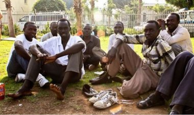 خبير: مصر جمعت أكبر دعم إنساني للشعب السوداني