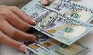 توقعات سعر الدولار في مصر 2024