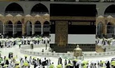 حقيقة رفض الوزارة تخصيص أتوبيسات لنقل الحجاج من القاهرة إلى السويس