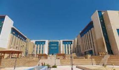 مصاريف جامعة المنصورة الجديدة 2023