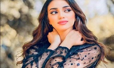 بعد أنباء انتحارها.. من هي ميرنا هشام نجمة آراب أيدول؟