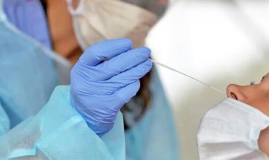 آيريس.. متحور كورونا الجديد سريع الانتشار