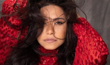 بعد تغريمها 5 ملايين جنيه.. أزمات في حياة شيرين عبد الوهاب