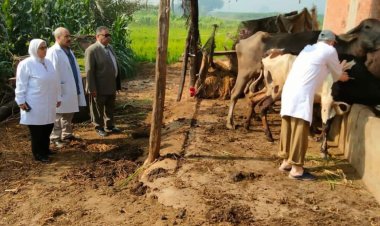 محافظة الدقهلية يتابع أعمال مقاومة الحمى القلاعية وحمى الوادى المتصدع لتحسين الثروة الحيوانية