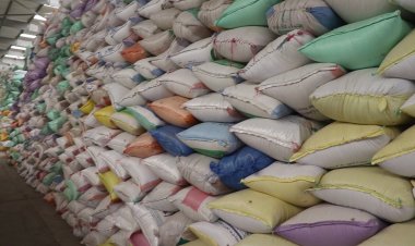 توريد 262 ألفا و94 طنا من محصول القمح بجميع مراكز كفر الشيخ لموسم حصاد 2023