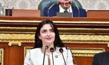 سؤال برلماني بشأن حرمان هيئة سلامة الغذاء الصيادلة من تحضير الماجستير