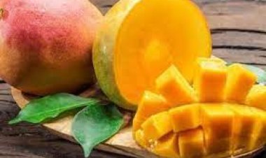 متى يبدأ موعد مهرجان المانجو في دورته الثانية 2023 بالإسماعيلية ؟